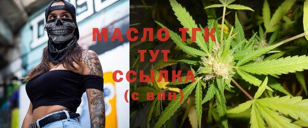 ГАЛЛЮЦИНОГЕННЫЕ ГРИБЫ Лагань