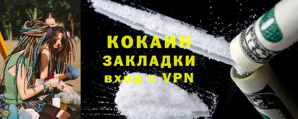 ГАЛЛЮЦИНОГЕННЫЕ ГРИБЫ Лагань