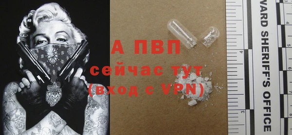 ГАЛЛЮЦИНОГЕННЫЕ ГРИБЫ Лагань