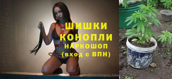 PSILOCYBIN Кирс