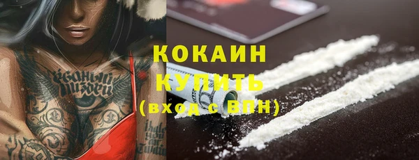 ГАЛЛЮЦИНОГЕННЫЕ ГРИБЫ Лагань