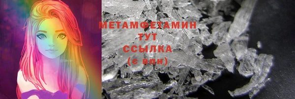 ГАЛЛЮЦИНОГЕННЫЕ ГРИБЫ Лагань