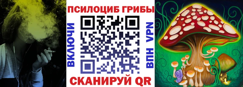 Псилоцибиновые грибы ЛСД  MEGA как зайти  Оса  площадка какой сайт  магазин продажи наркотиков 