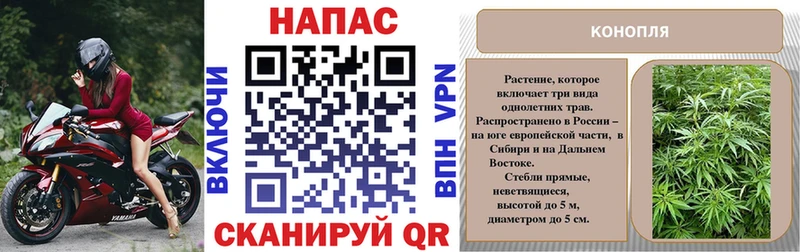 ссылка на мегу ссылка наркотики Оса Марихуана MAZAR